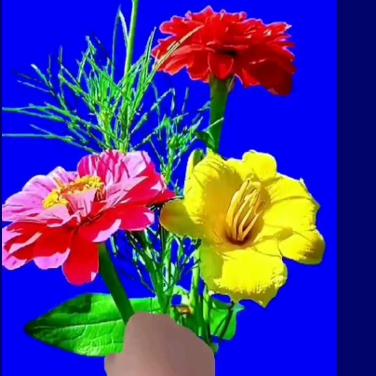 鲜花情人那么美🌹🌹😂😂