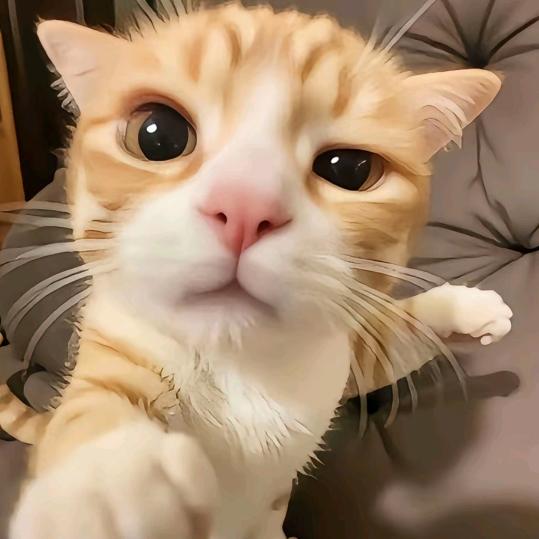 一只鱼^~~^