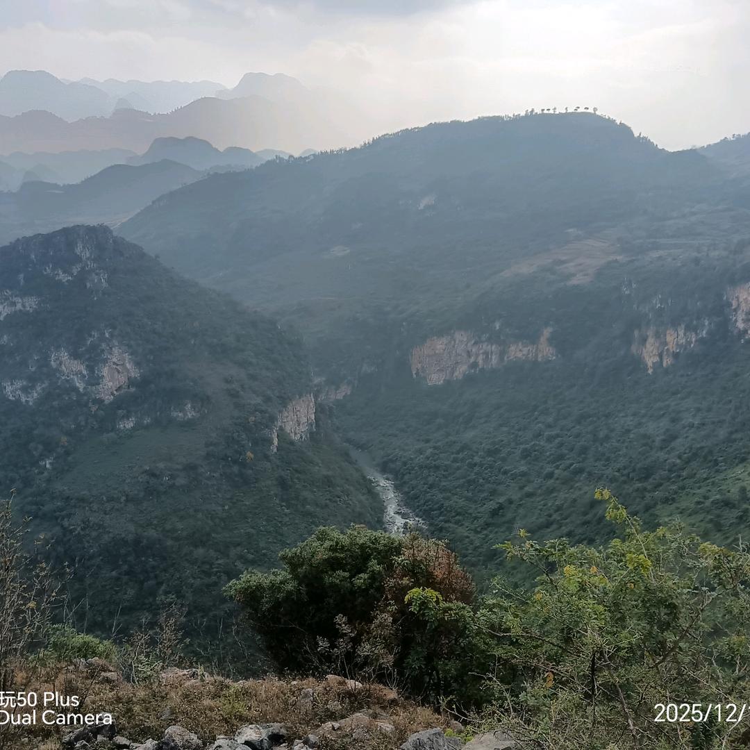 伤心的陌生人。