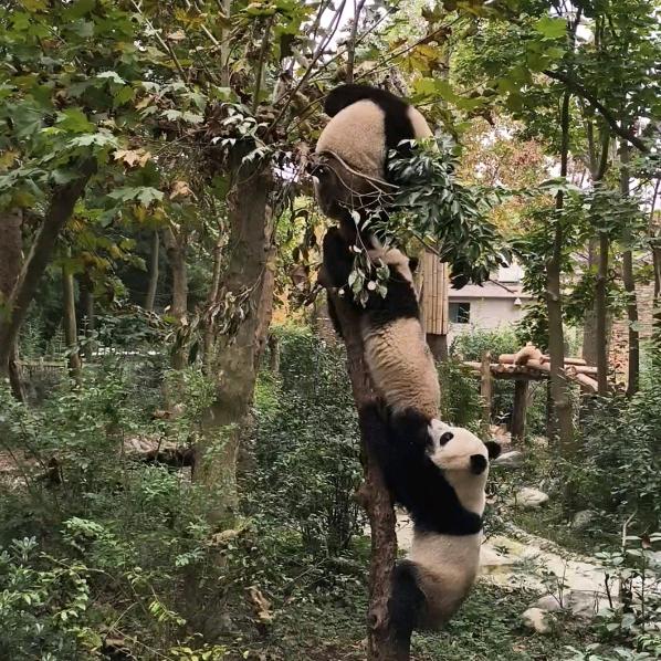 分享生活的王