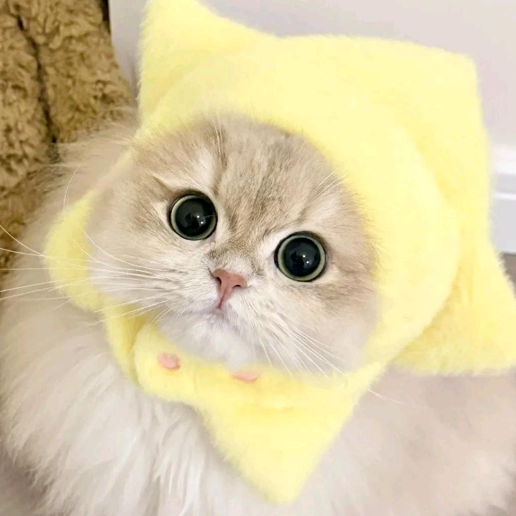 i我吗