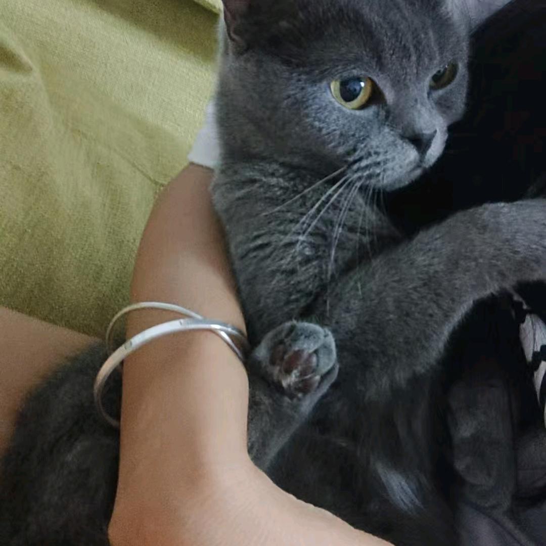 陈家大小姐