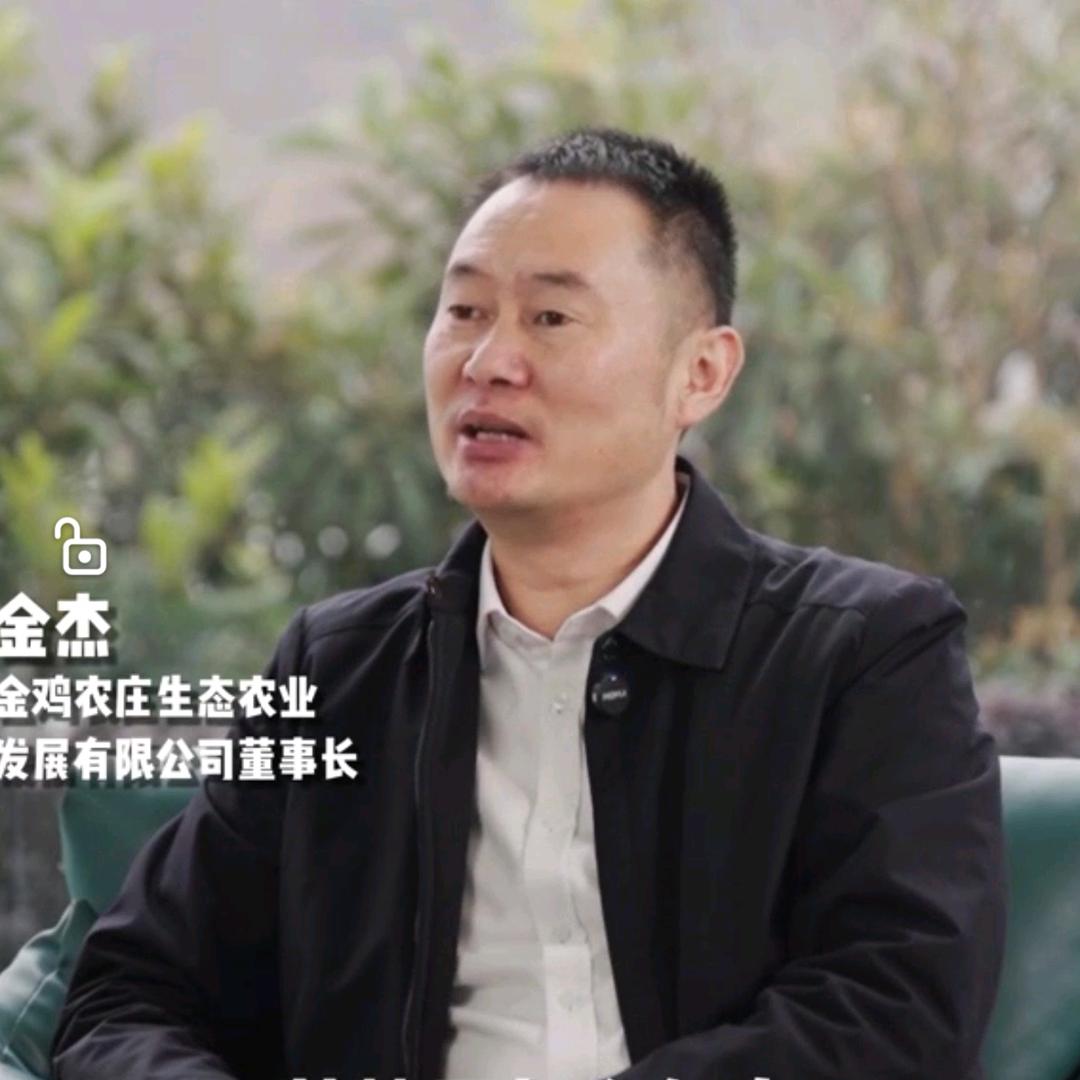 金鸡农庄金杰