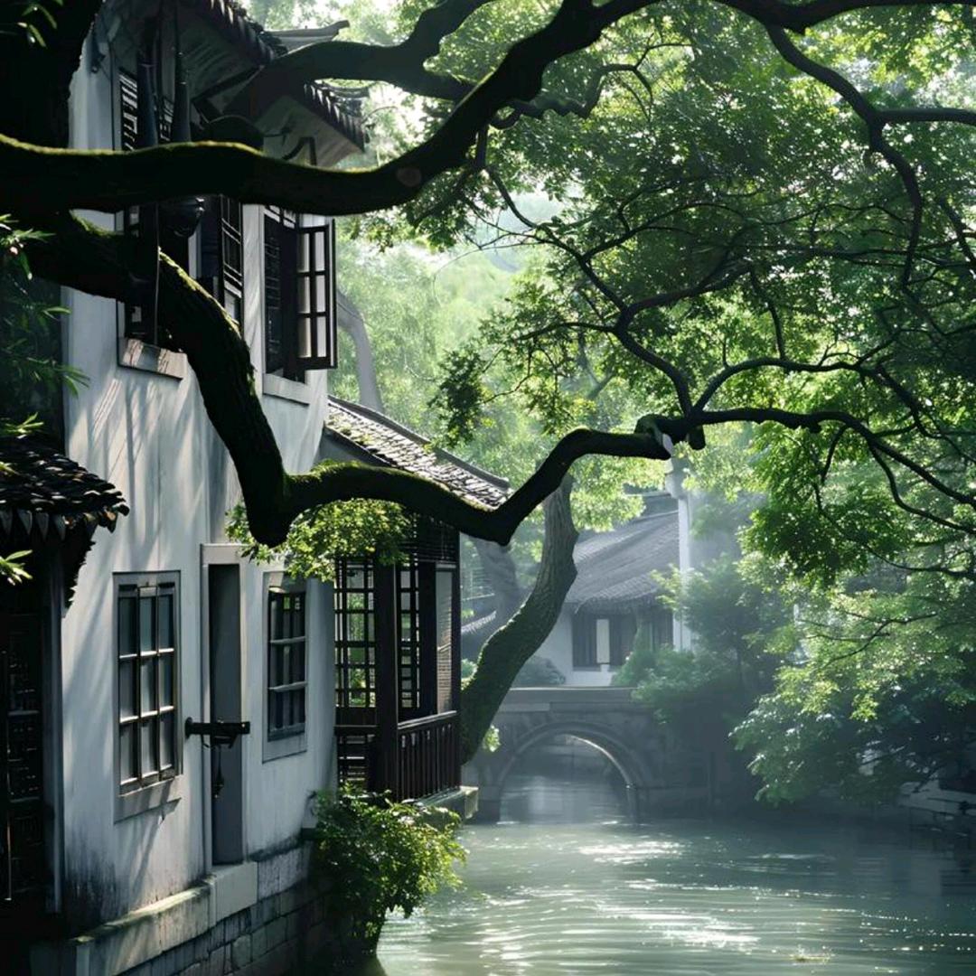 轻叹浮生