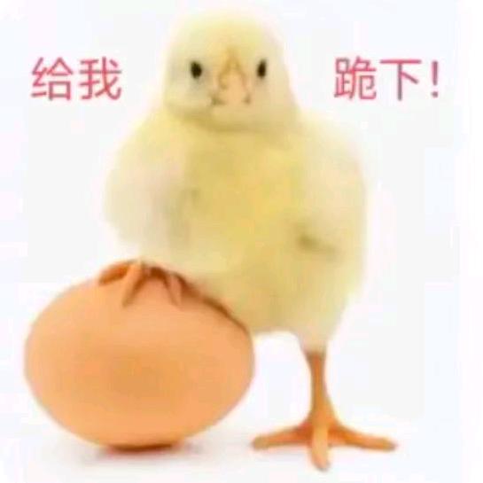 重生之我是英语大王