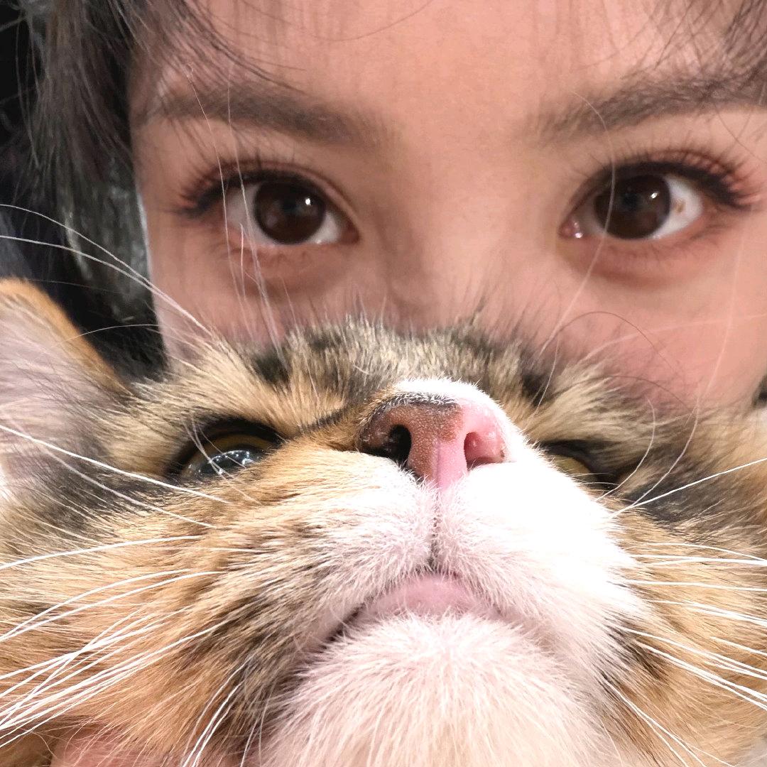 祯意🍁头像