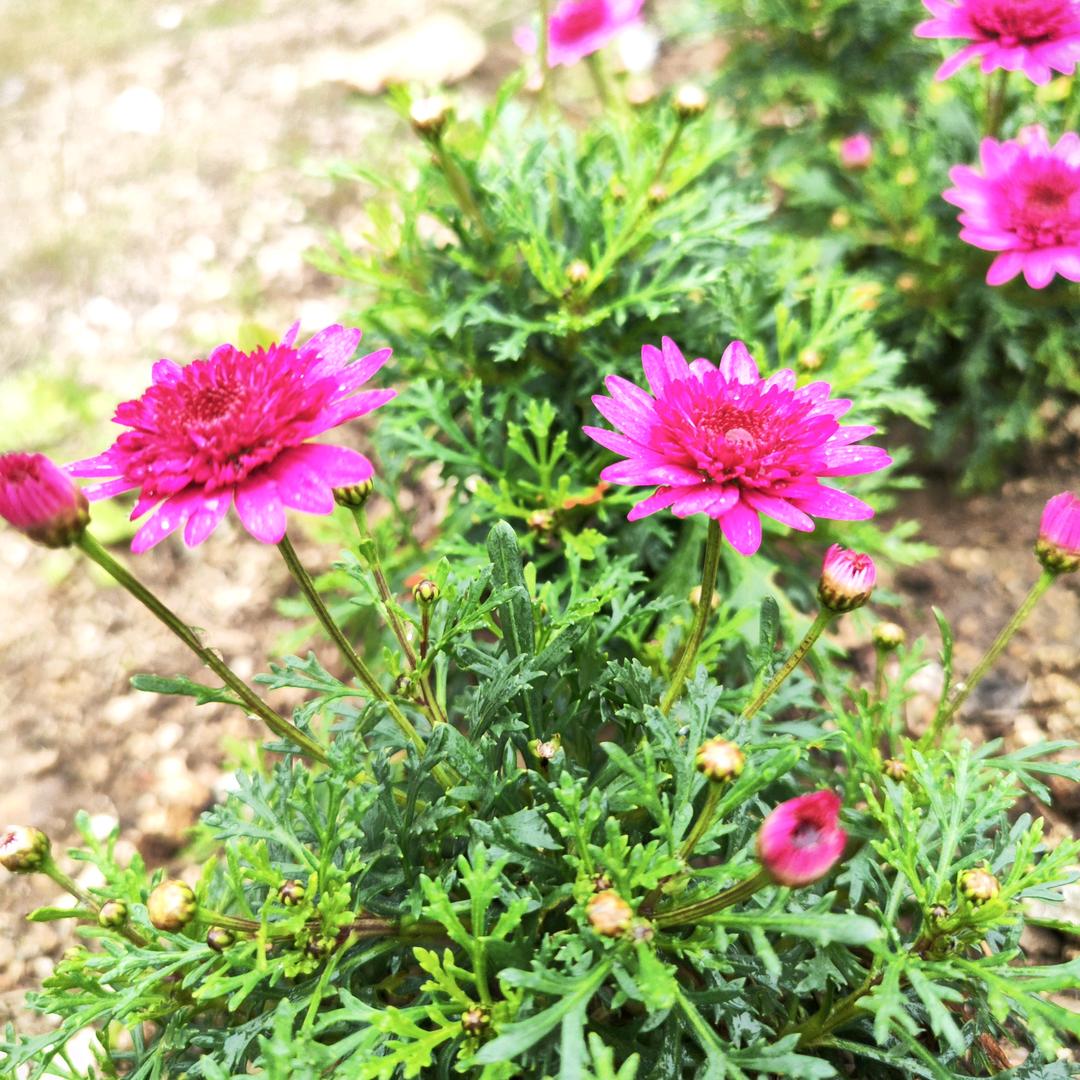 韩₍˄·͈༝·͈˄*₎◞ ̑̑