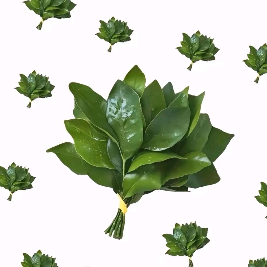 沼泽
