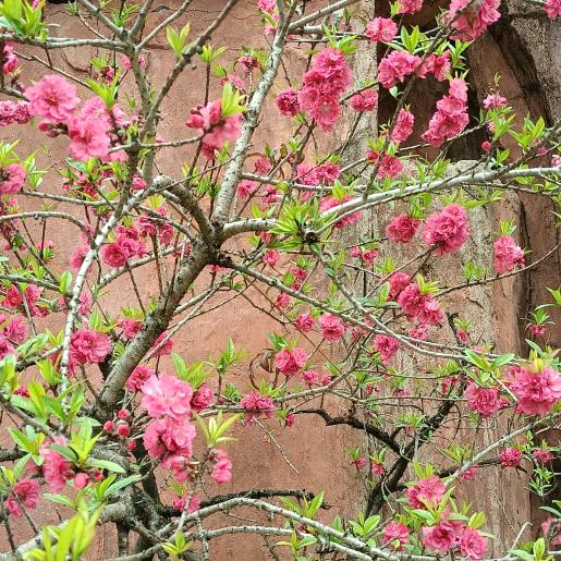 小🌸财🌸迷💐
