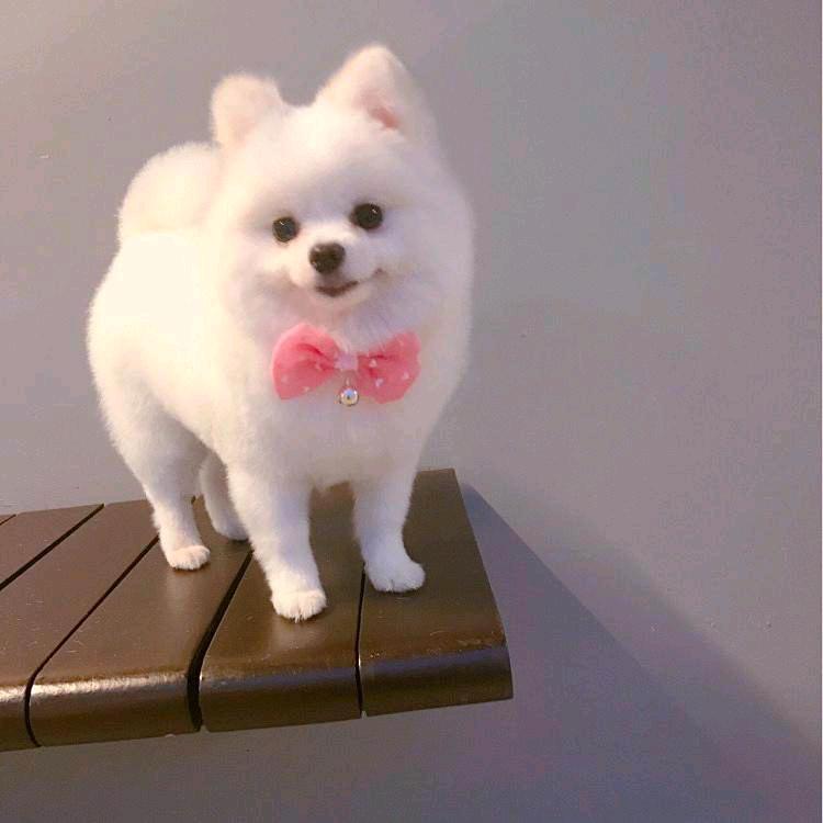 大香（尅一口）