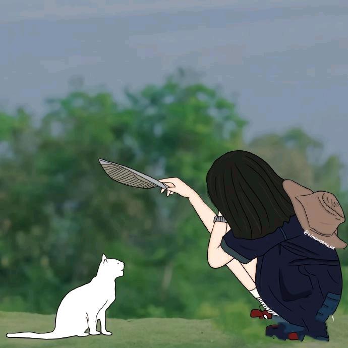 小小猫