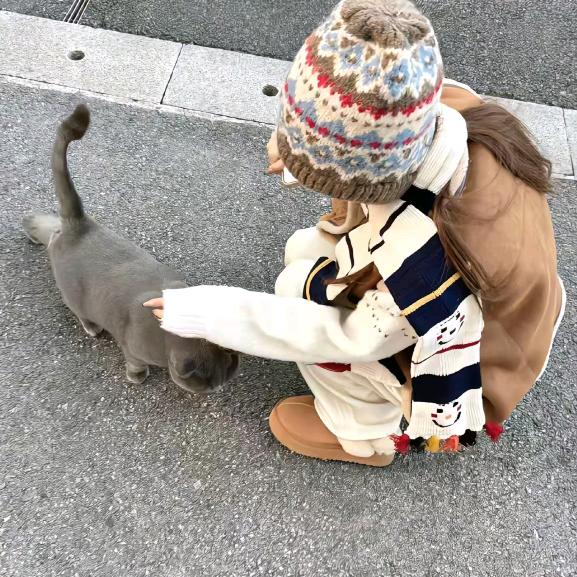 泪碎🐾