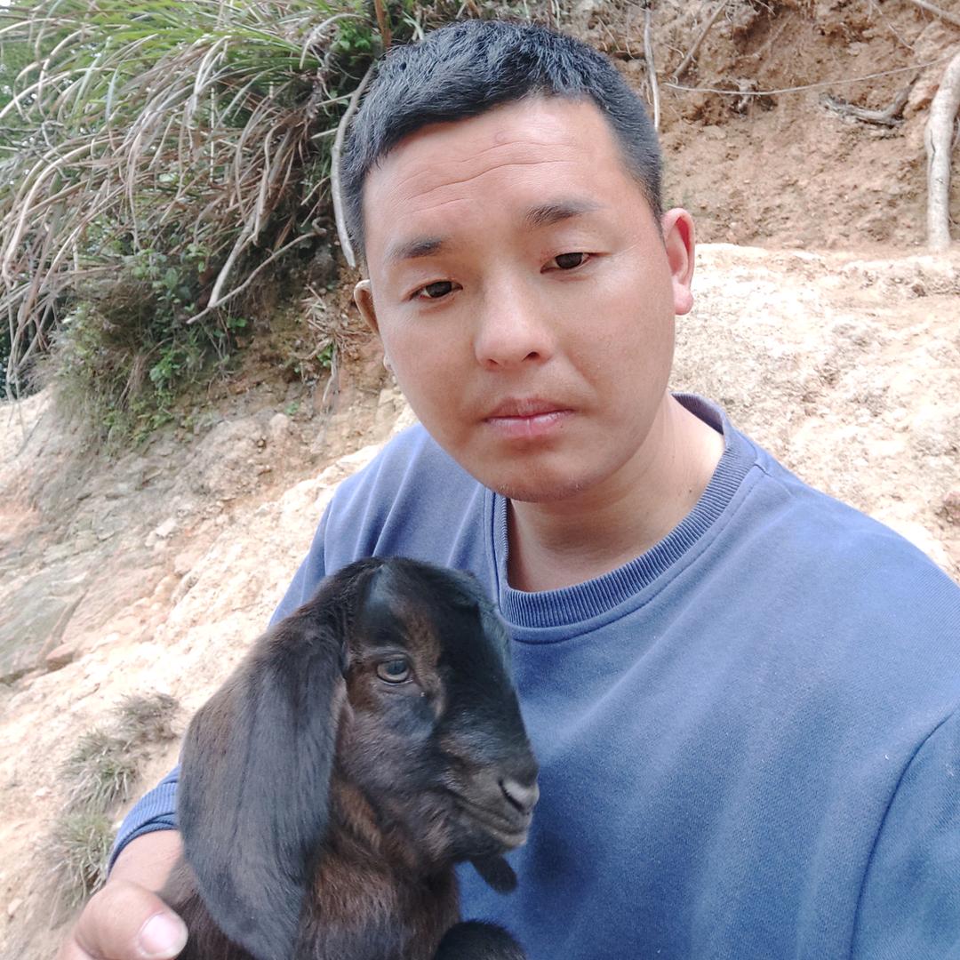 山羊养殖；星哥