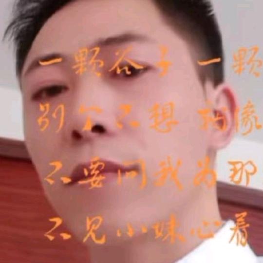 云南🌳云松🌴