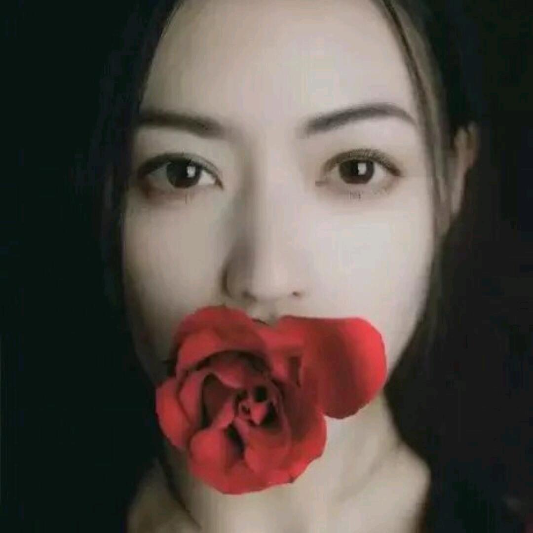 一路哥