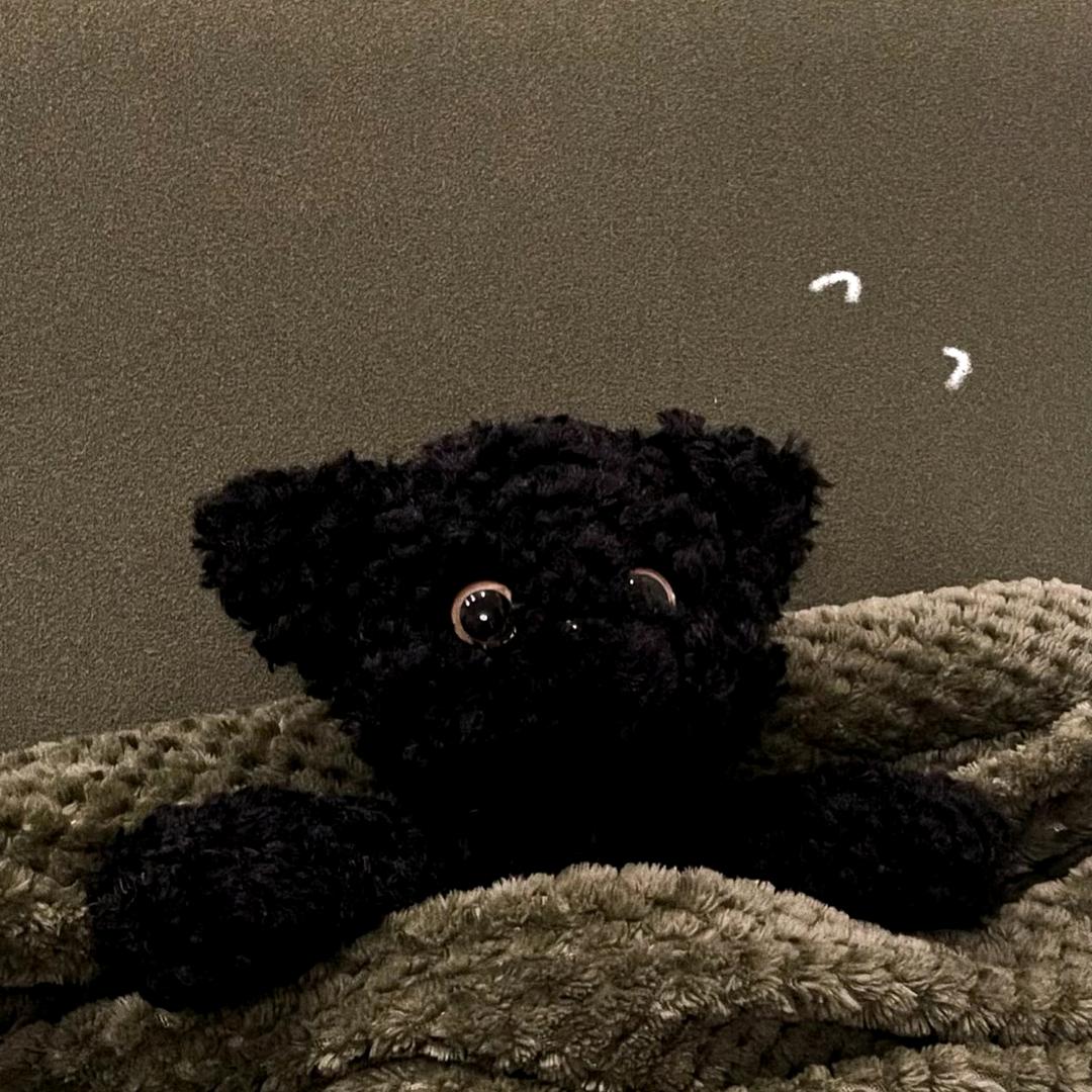 炮炮⁵¹⁷