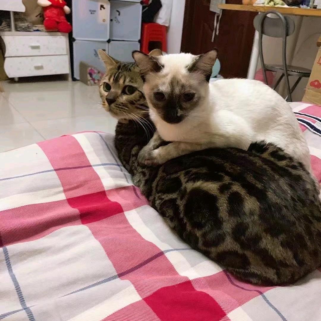 碌碌无为三十年