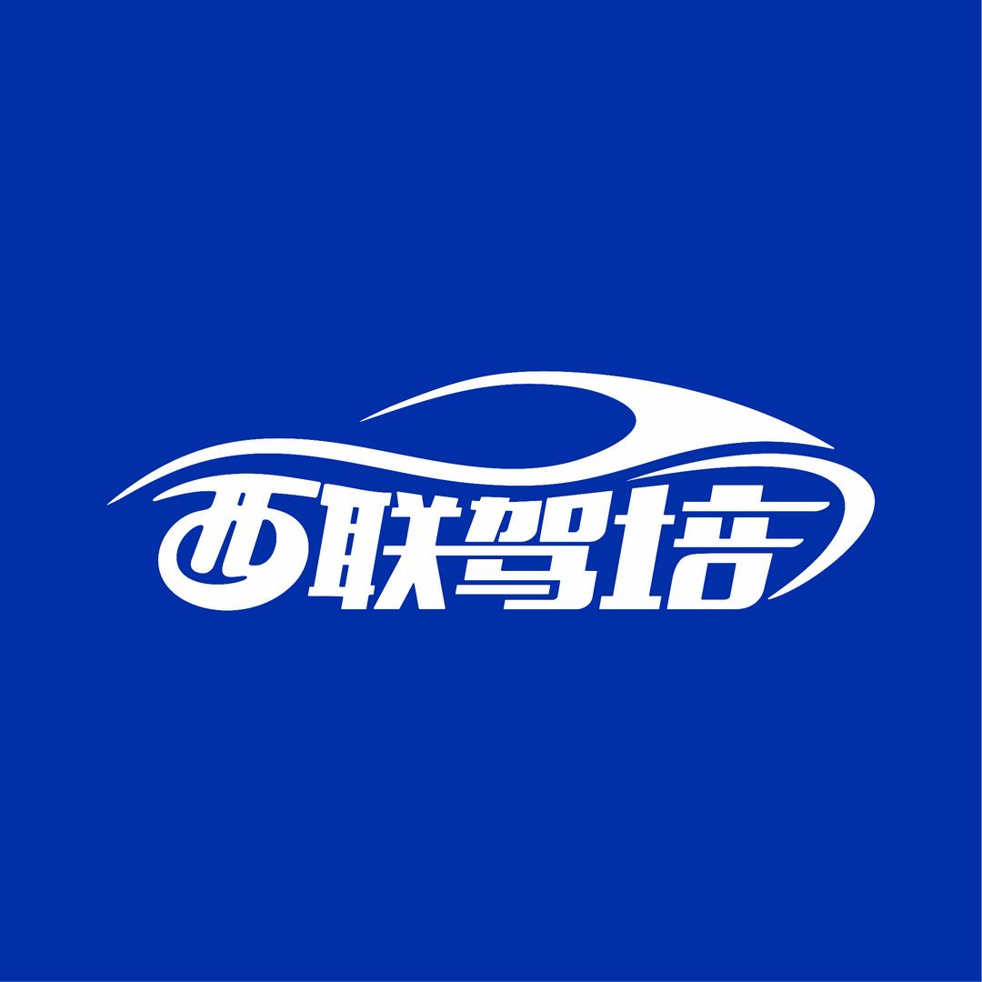 西联驾培集团-总教练