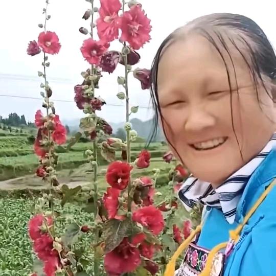 王绍兰