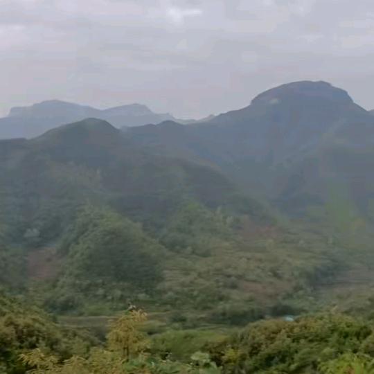 杨姐
