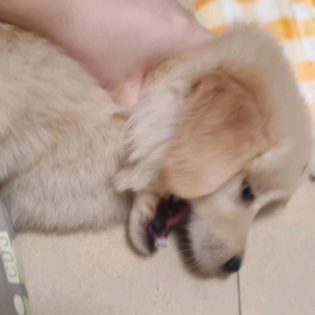 改名字好难