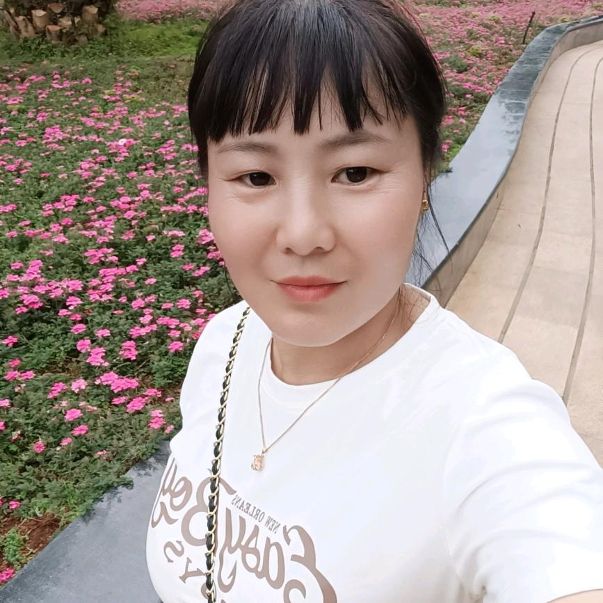 小燕子