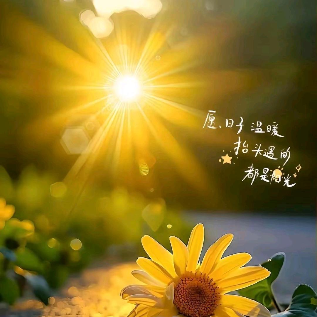 秋日私语
