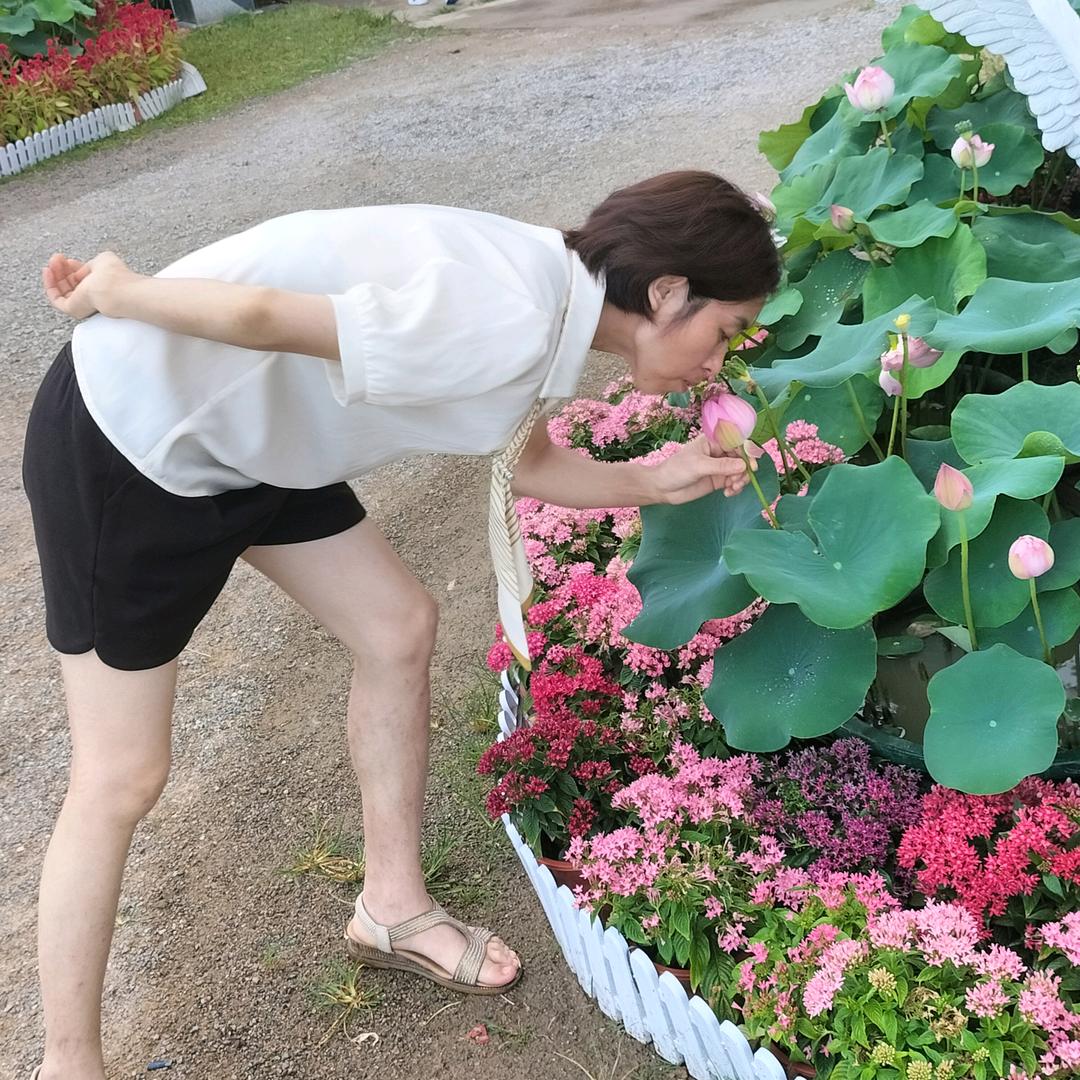 冯凤