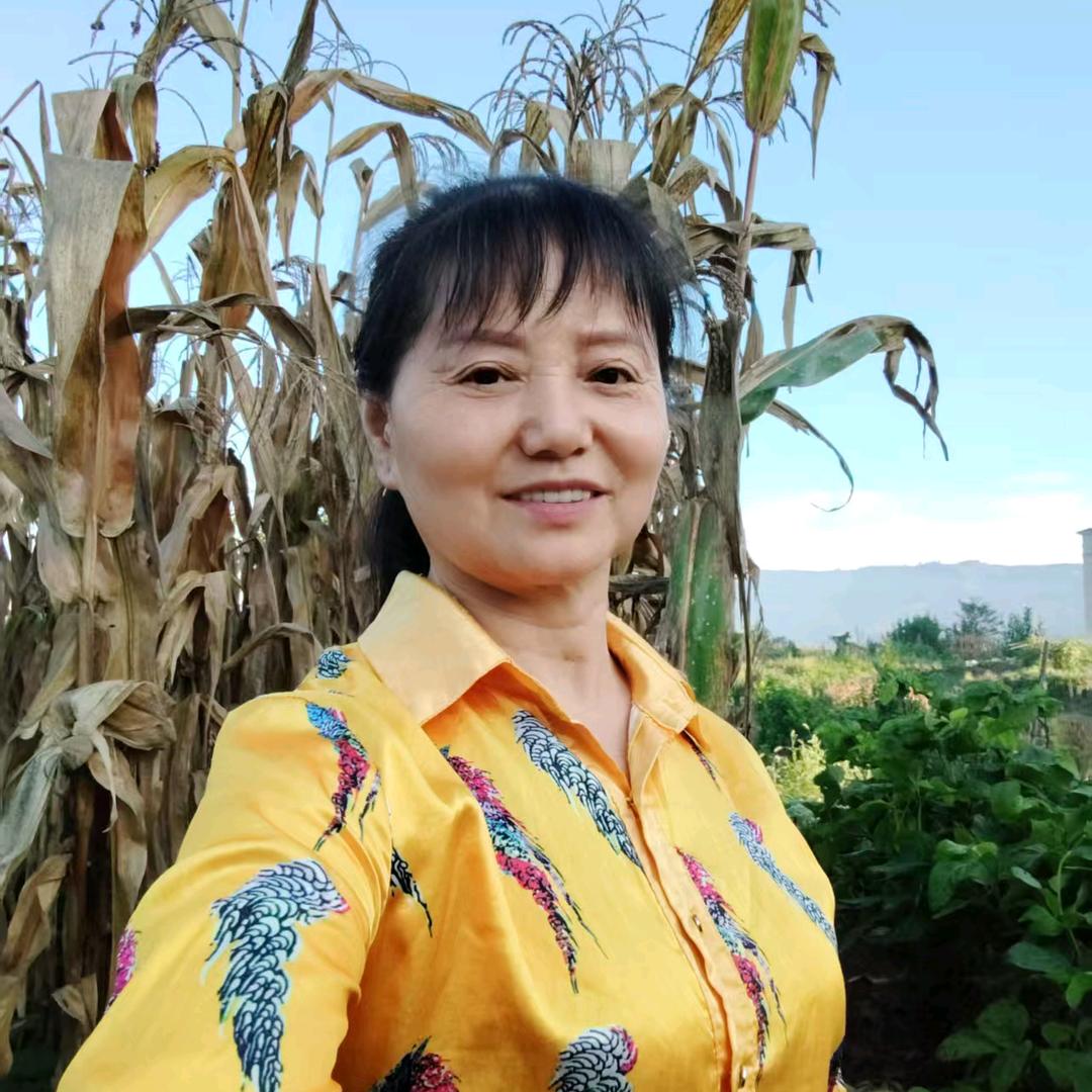 萍妈百货早上6点10首播