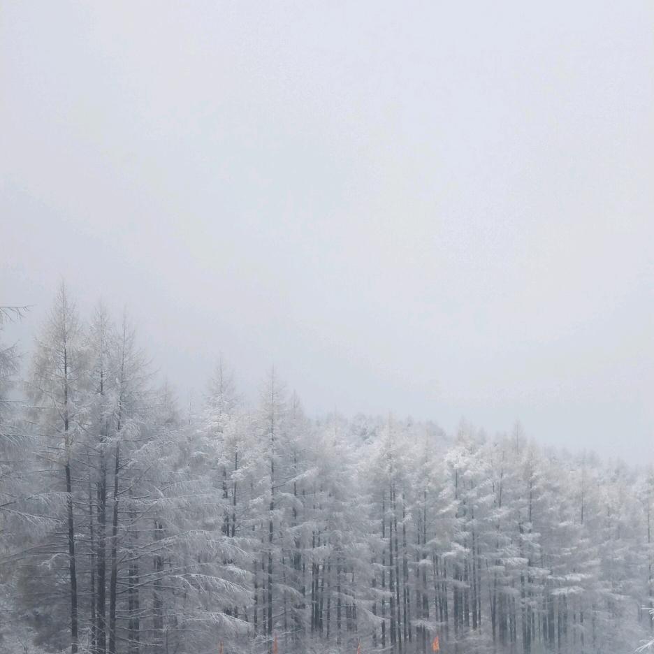 ꧁꫞꯭澜꯭龍꯭꫞꧂