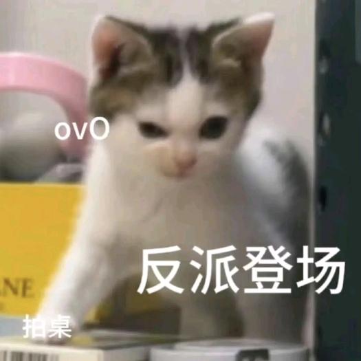 少—管—我—！