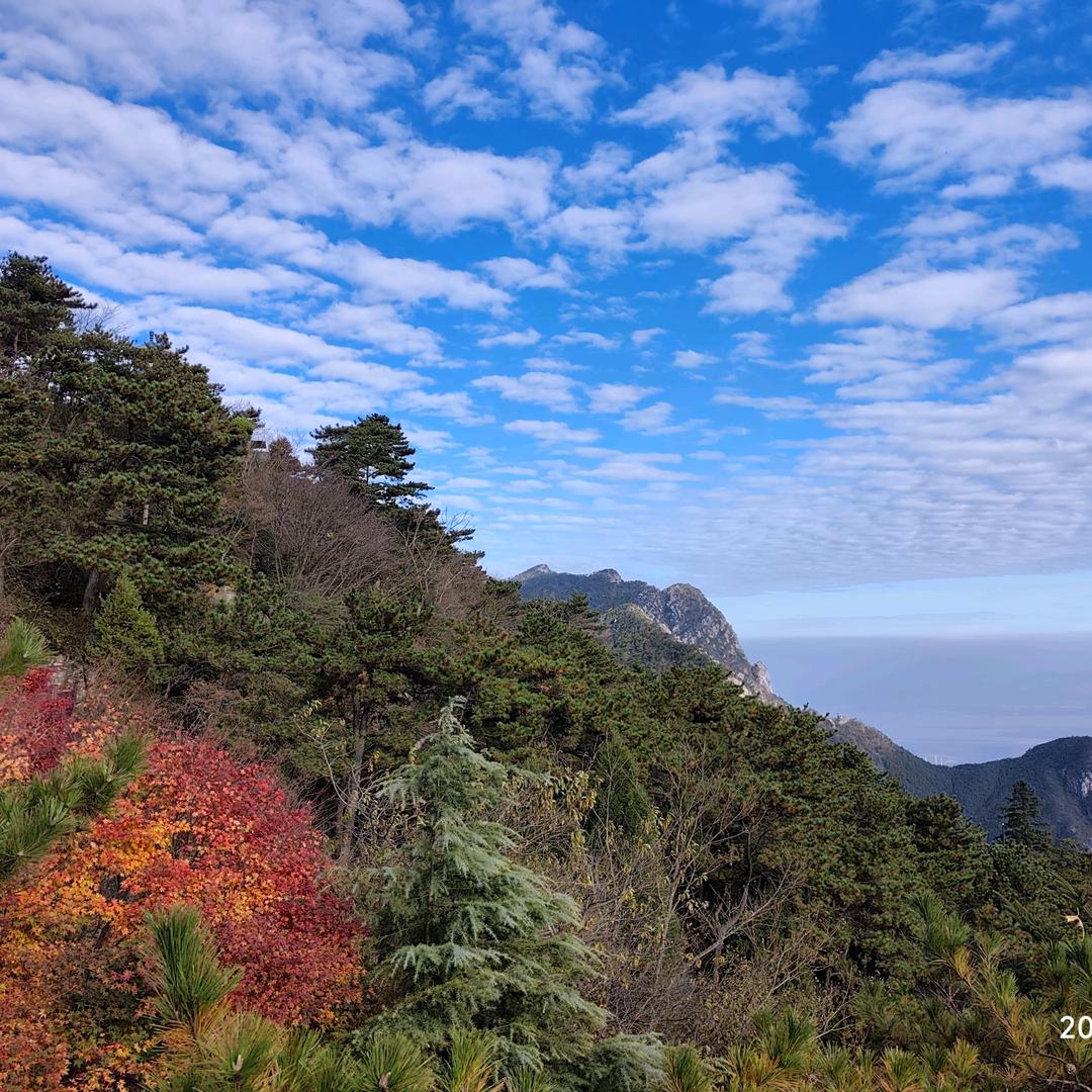 °˖✧︎◝︎(⁰▿︎⁰)◜︎✧︎˖°