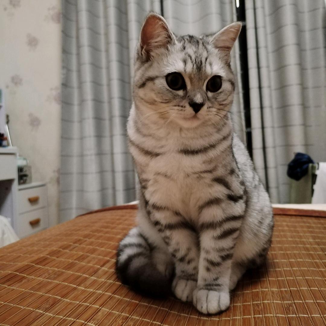 小笼包不吃小笼包