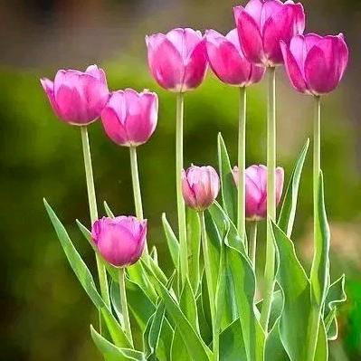 忘记过去，从头再来