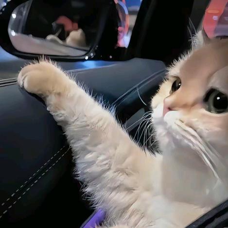 索恒食品店索恒食品店宣传号