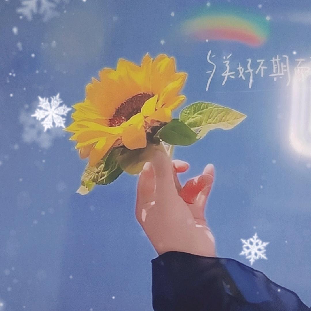 仙逆—橙子
