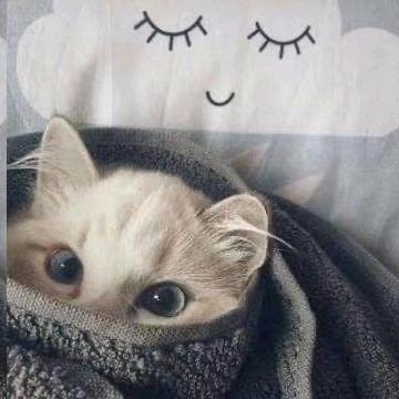 向前跑的小太阳