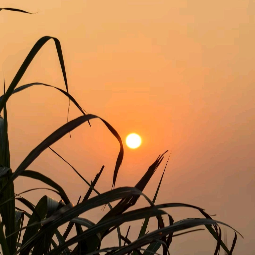 猪猪侠∠( ᐛ 」∠)_