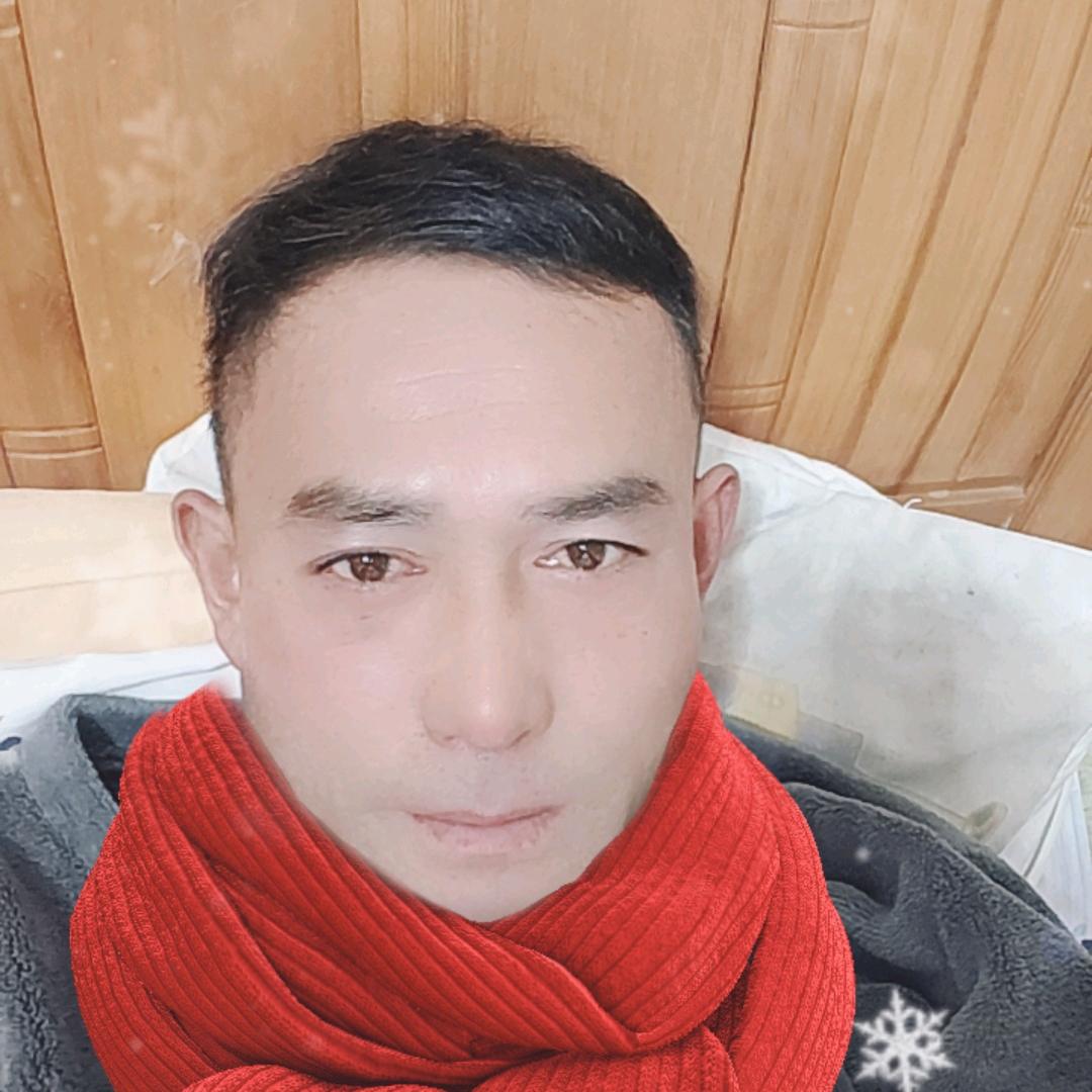 A杨