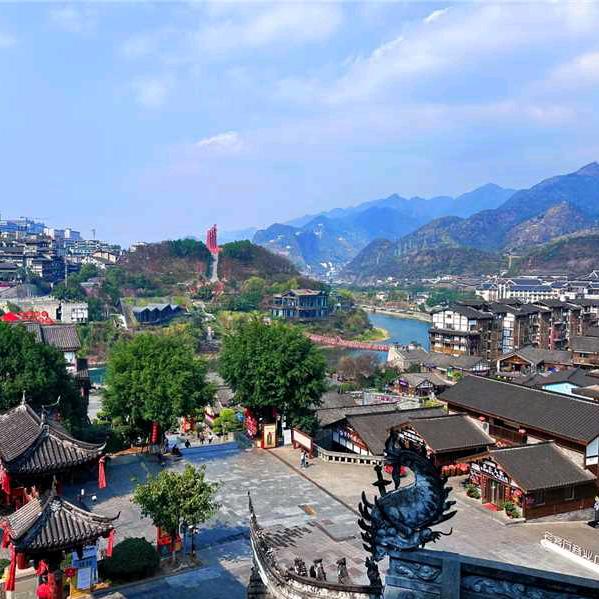 🌲🌲🌲🌲🌲有缘🌿🌿