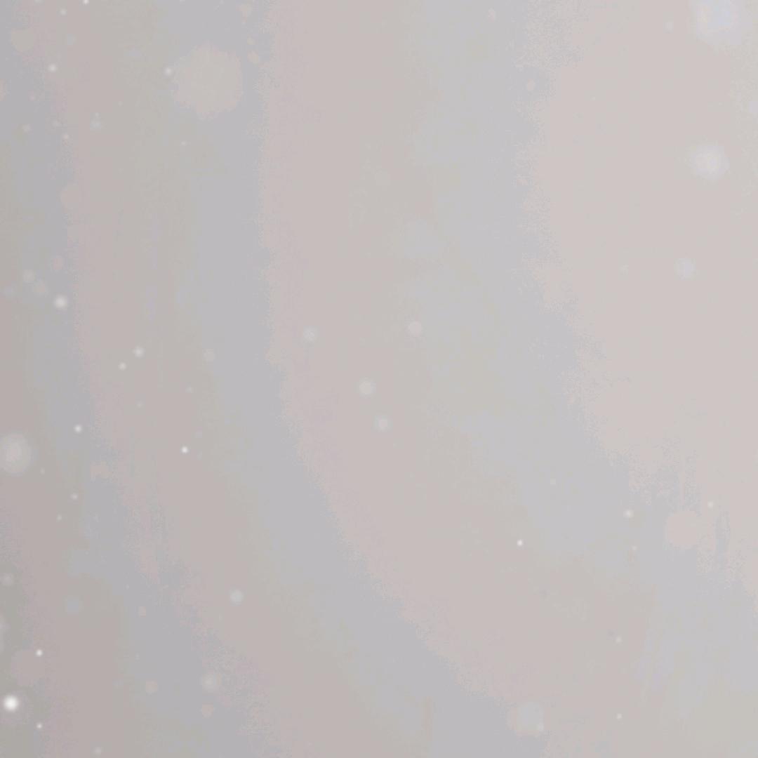小郑