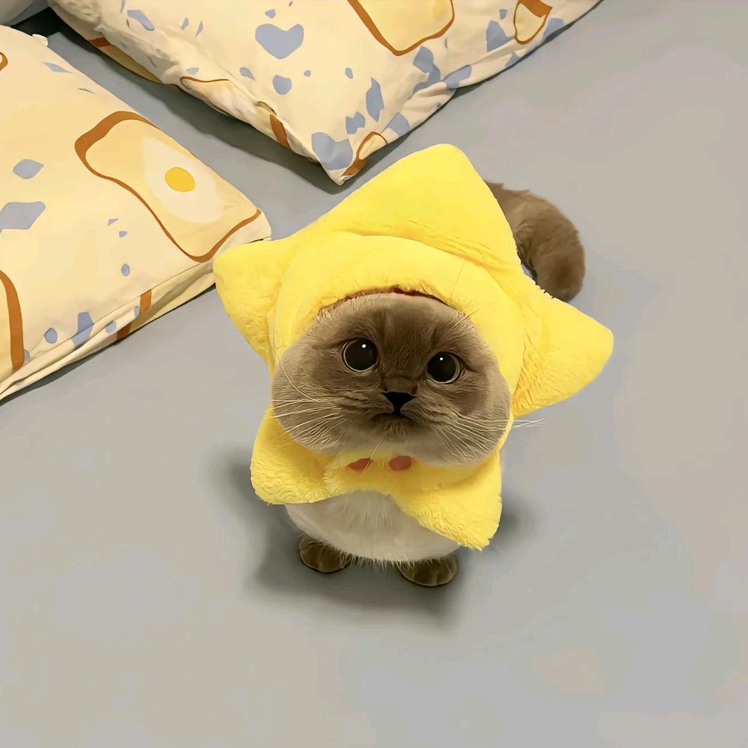 桉妤