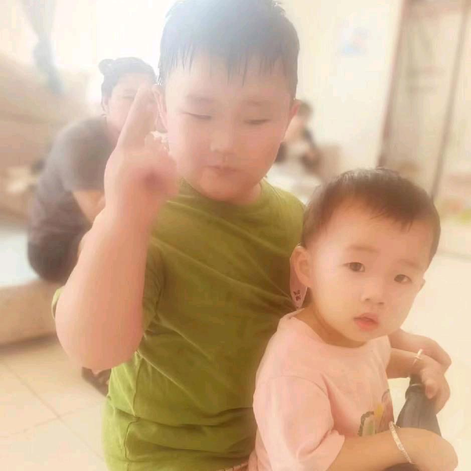 AA专业 彩钢 铁艺