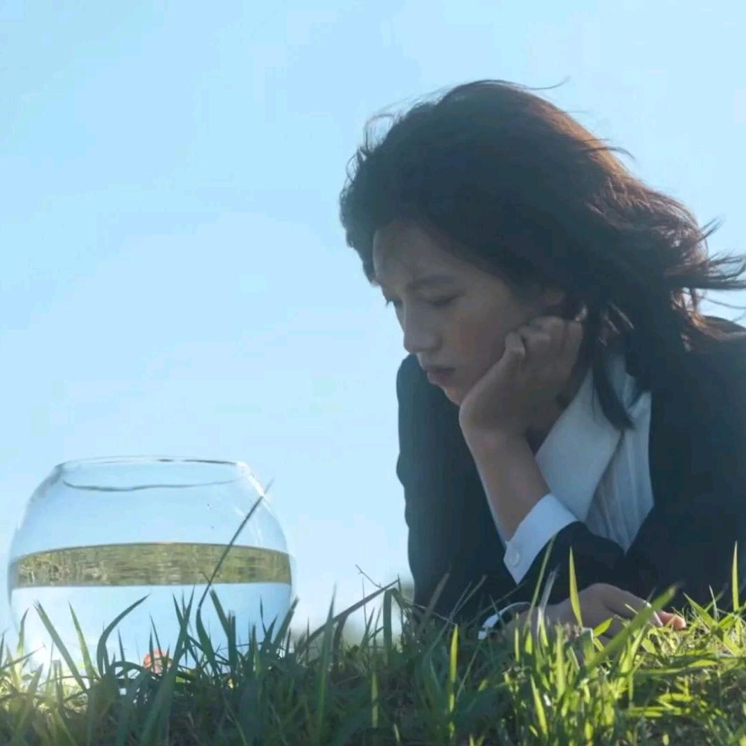 星际冷水鱼