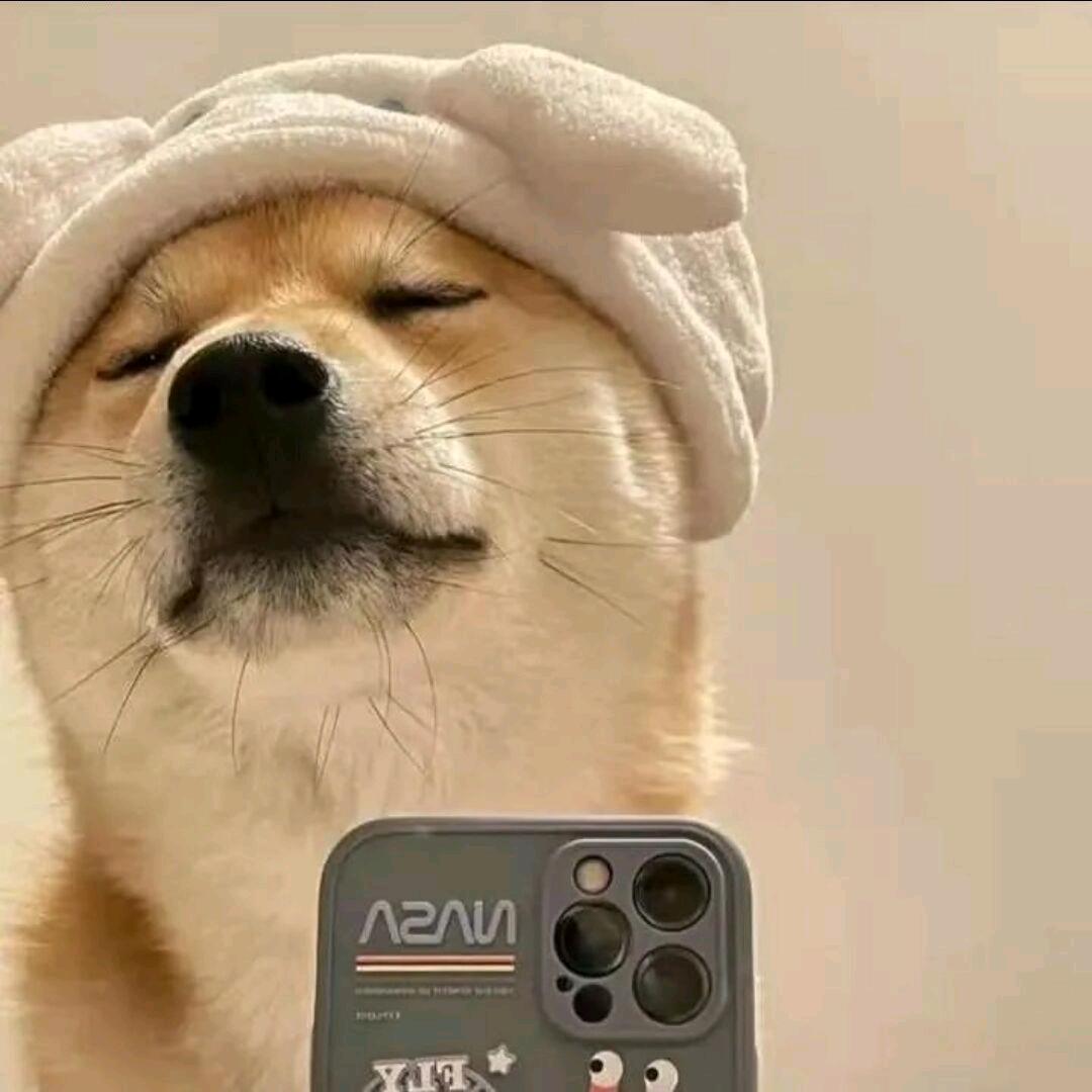 夏天不吃冰糕