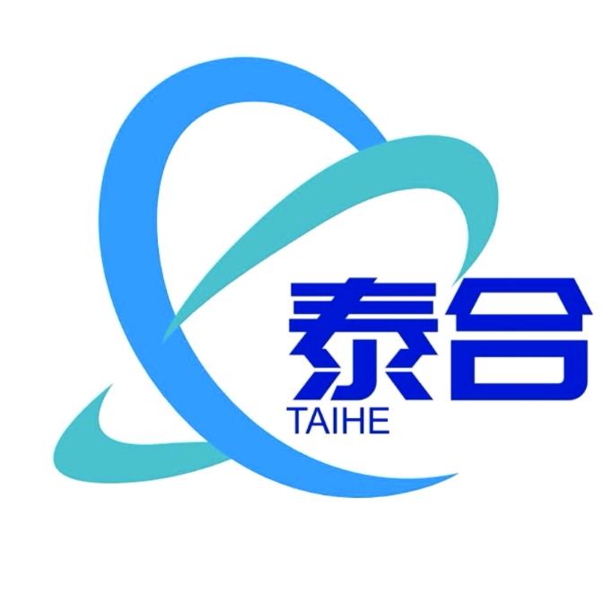 泰合电动出行科技