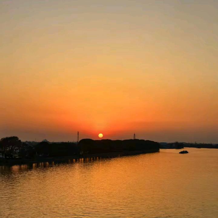 圃