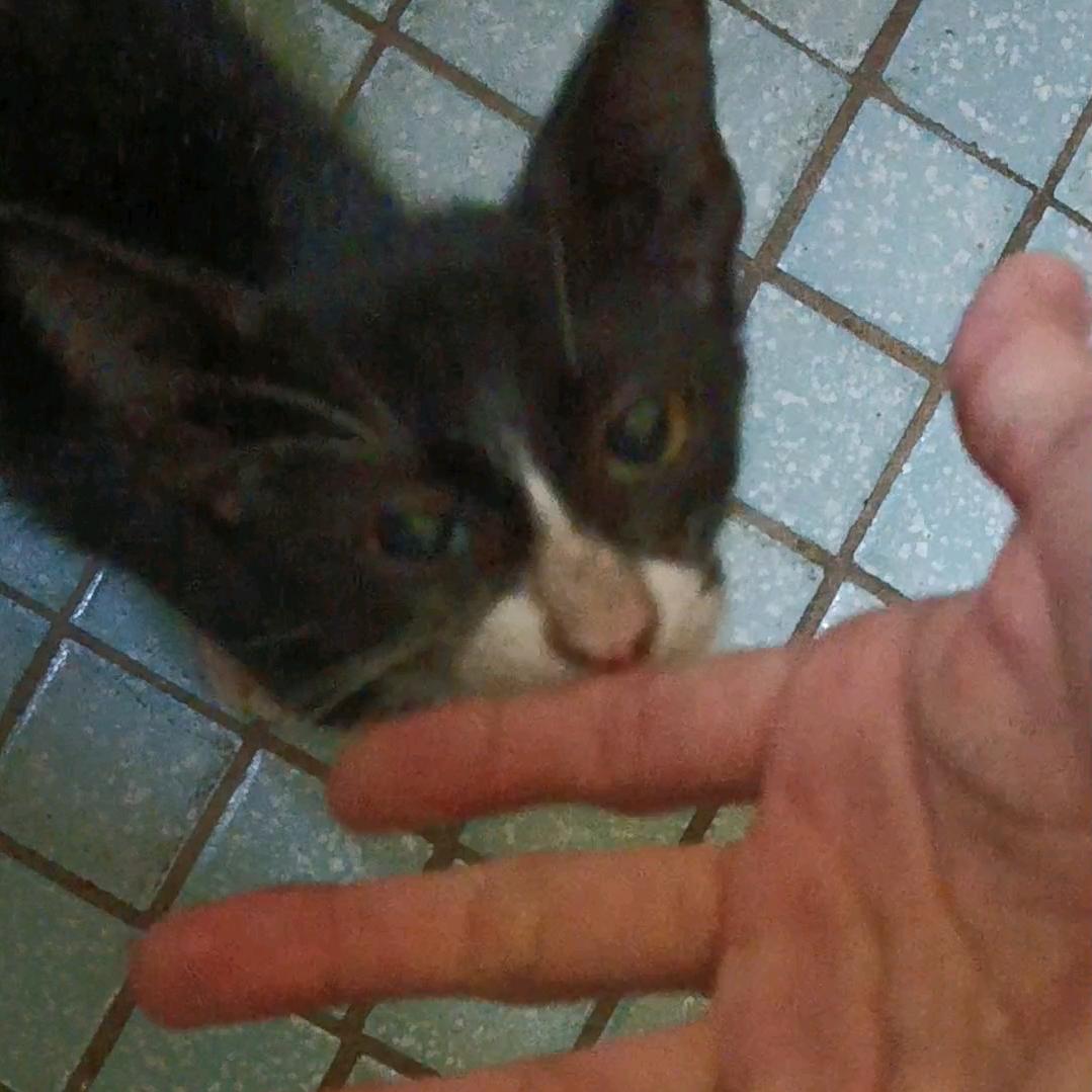 睡一觉吧z