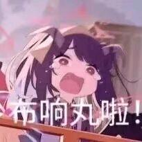 枫香195