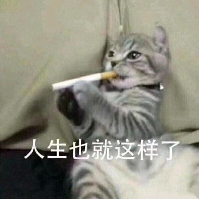 。，。，。